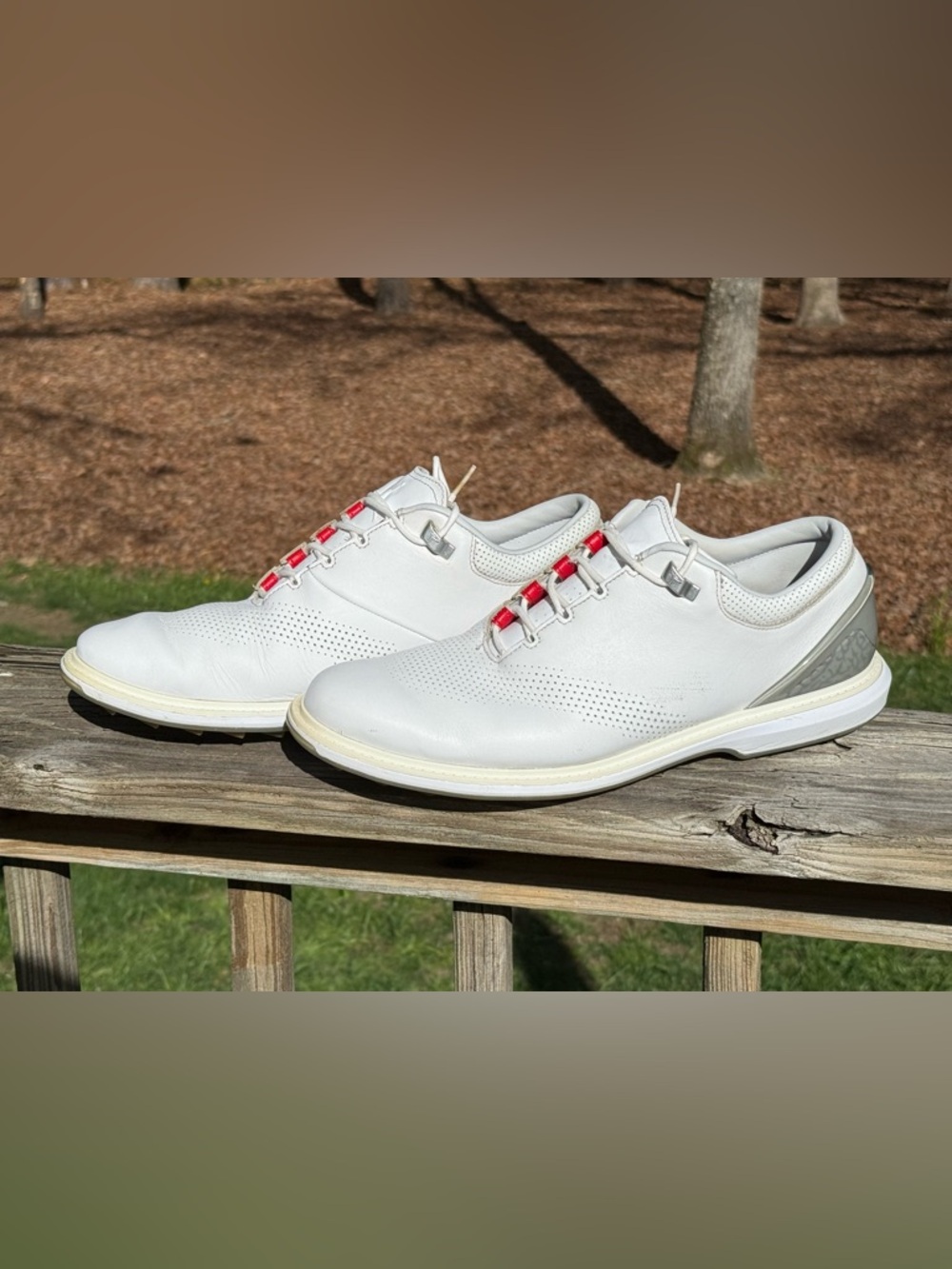 Nike Jordan Men's ADG 4 Golf Shoes